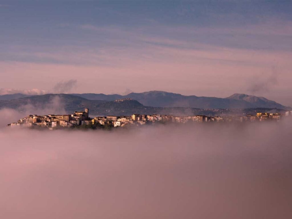 toro che emerge dalla nebbia in molise