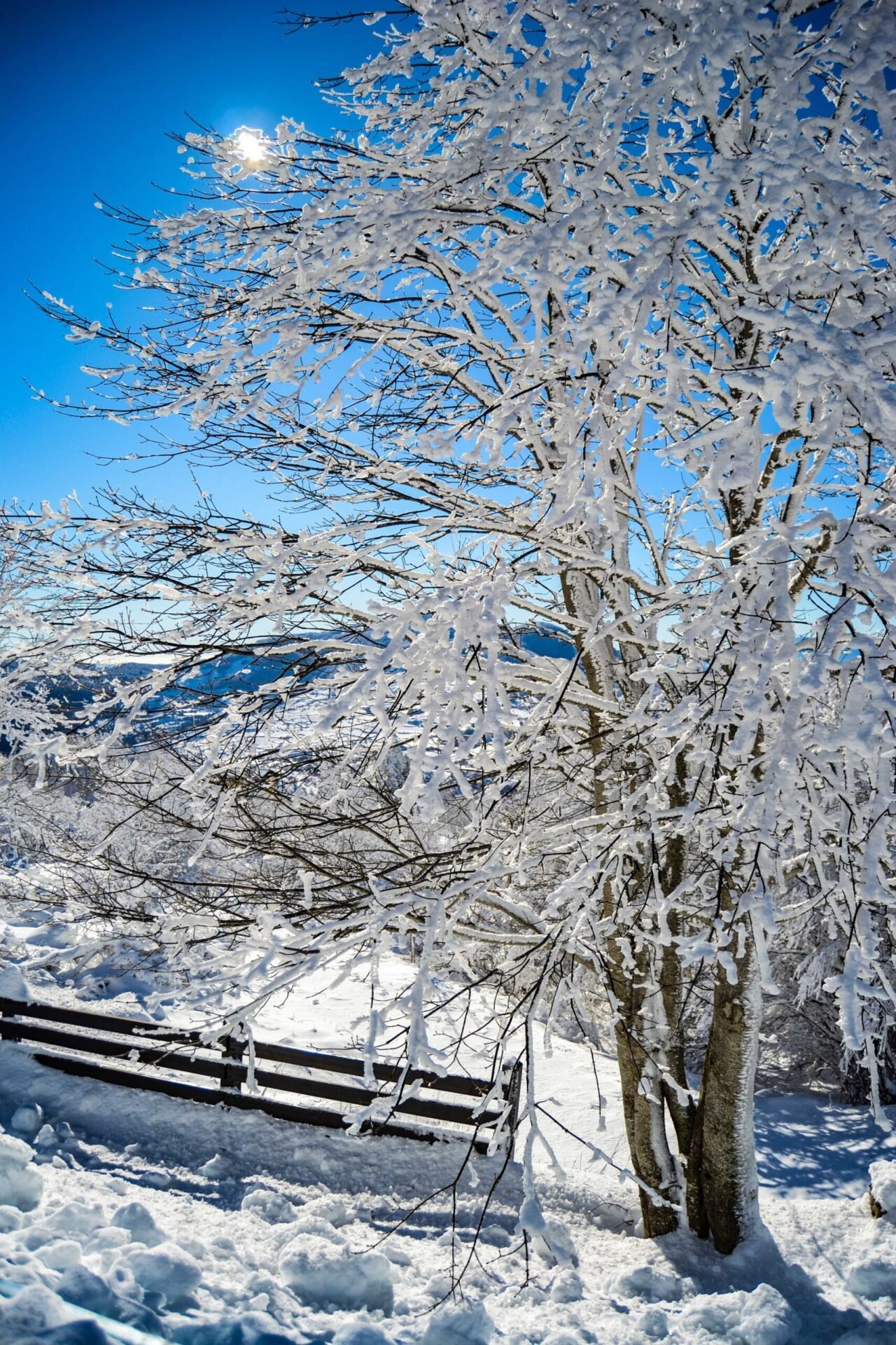 Foto dal Molise piu autentico Prato gentile capracotta. inverno in molise