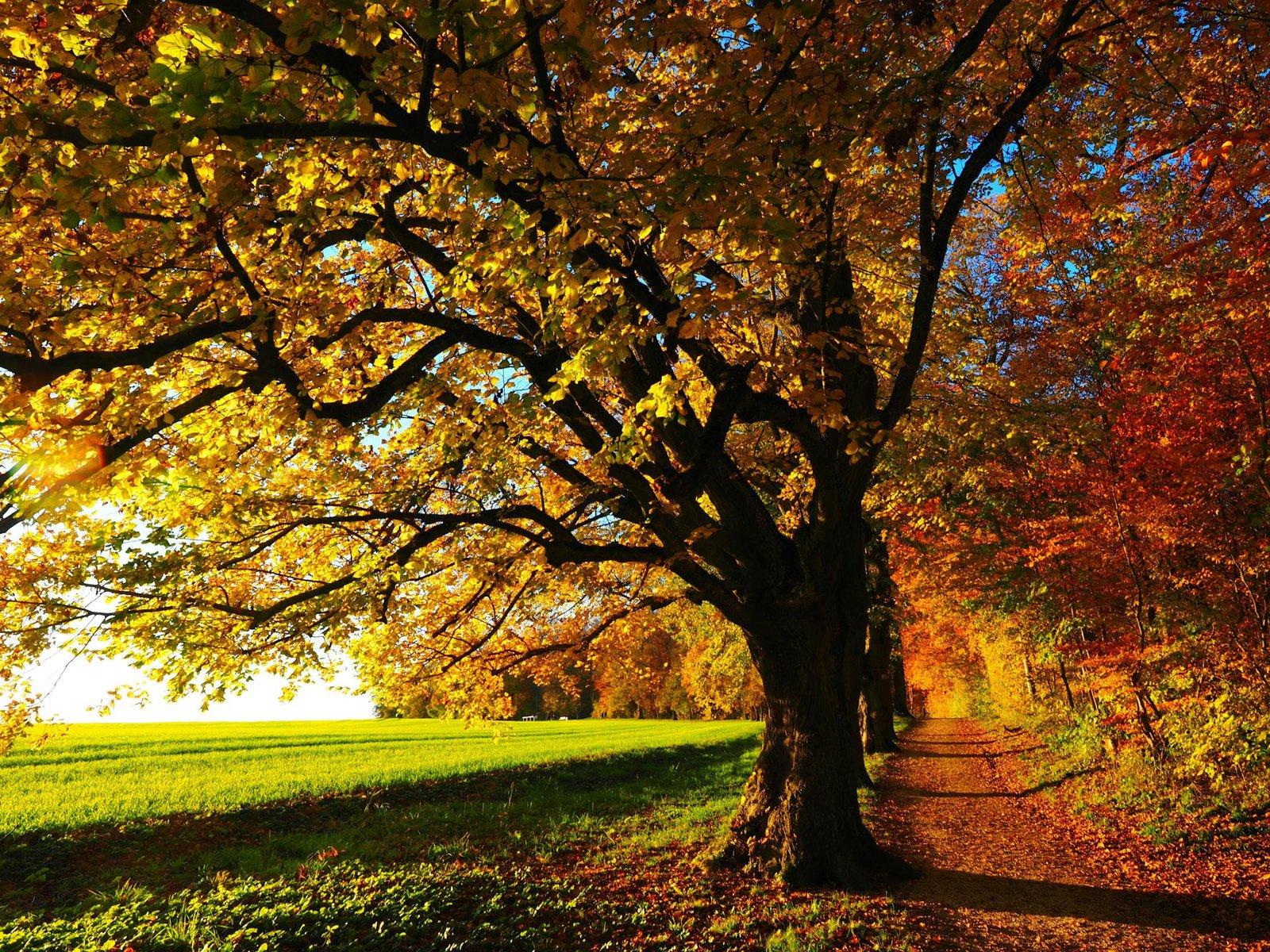 autunno in Molise