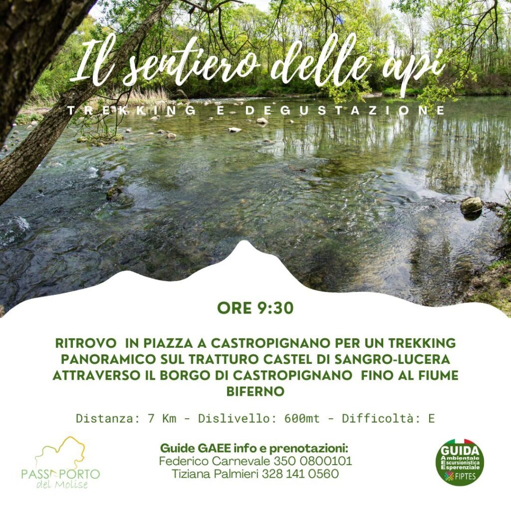 il sentiero delle api
