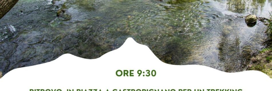 il sentiero delle api