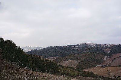 acquaviva collecroce