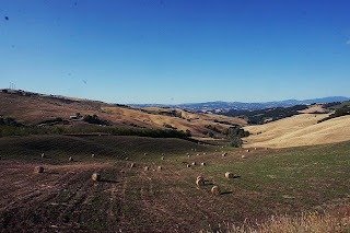 oasi bosco casale