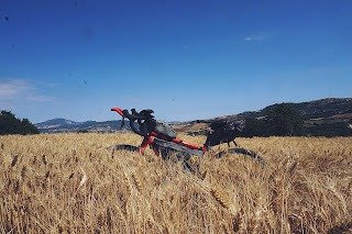 nel regno dei rapaci