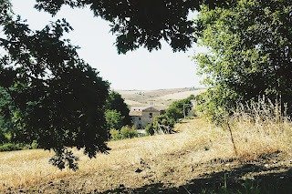 sant'onofrio