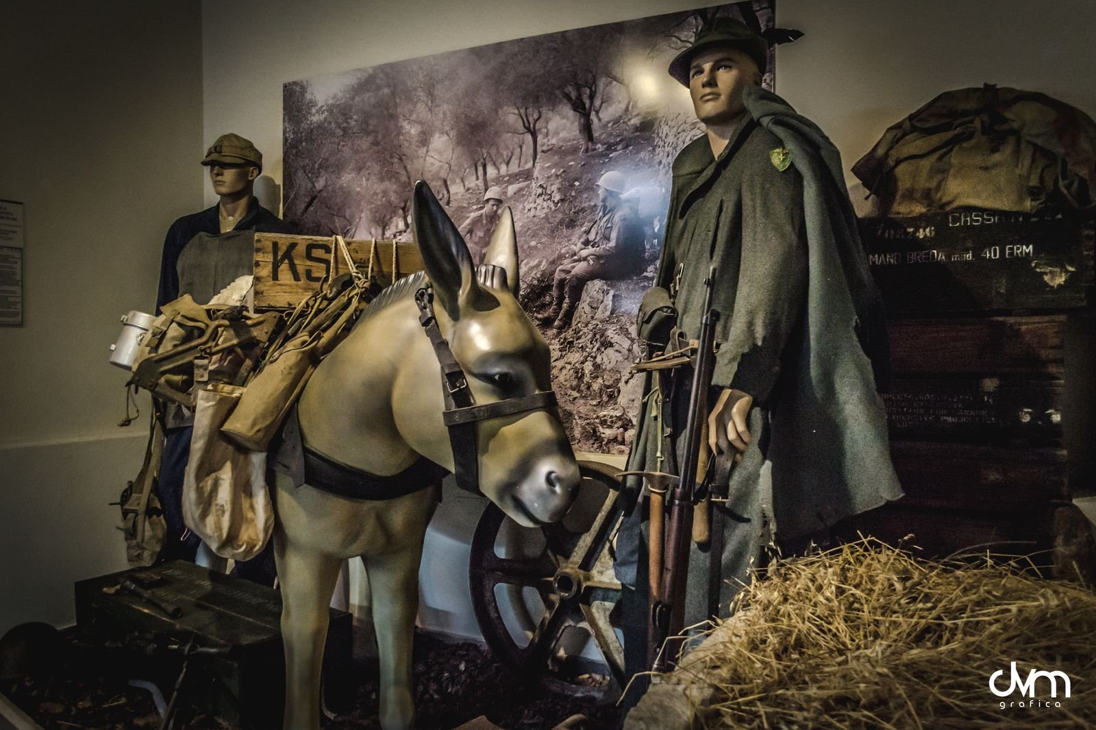 museo winterline venafro