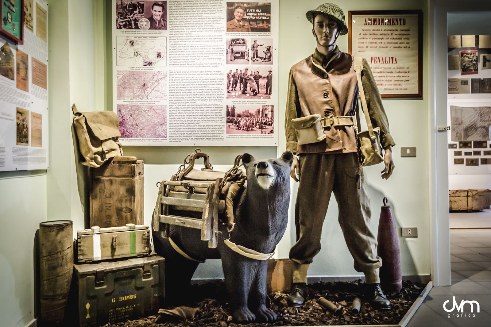 museo winterline venafro