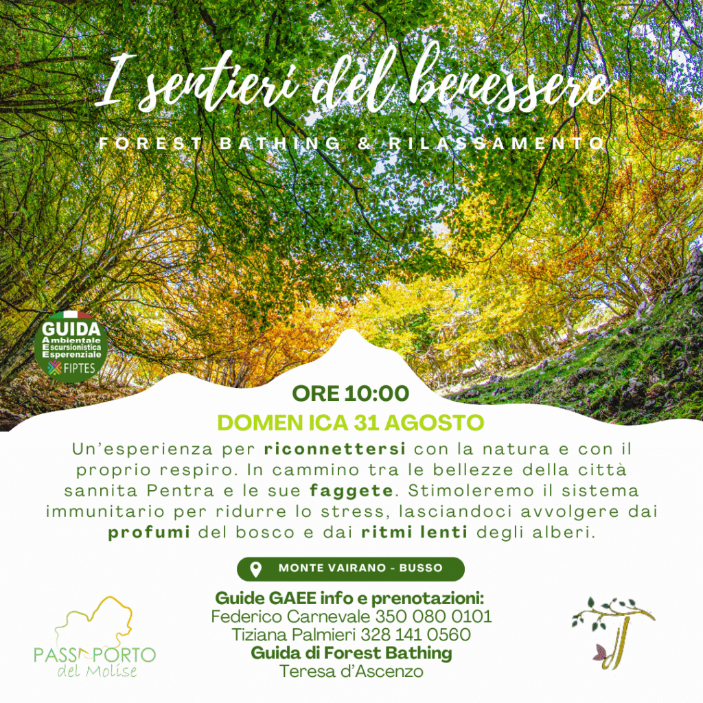 I Sentieri del Benessere – Forest Bathing & Rilassamento in Molise