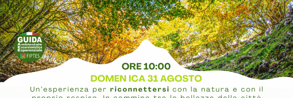 I Sentieri del Benessere – Forest Bathing & Rilassamento in Molise
