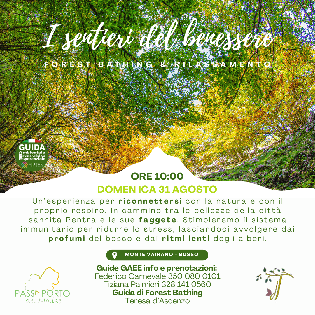 I Sentieri del Benessere – Forest Bathing & Rilassamento in Molise