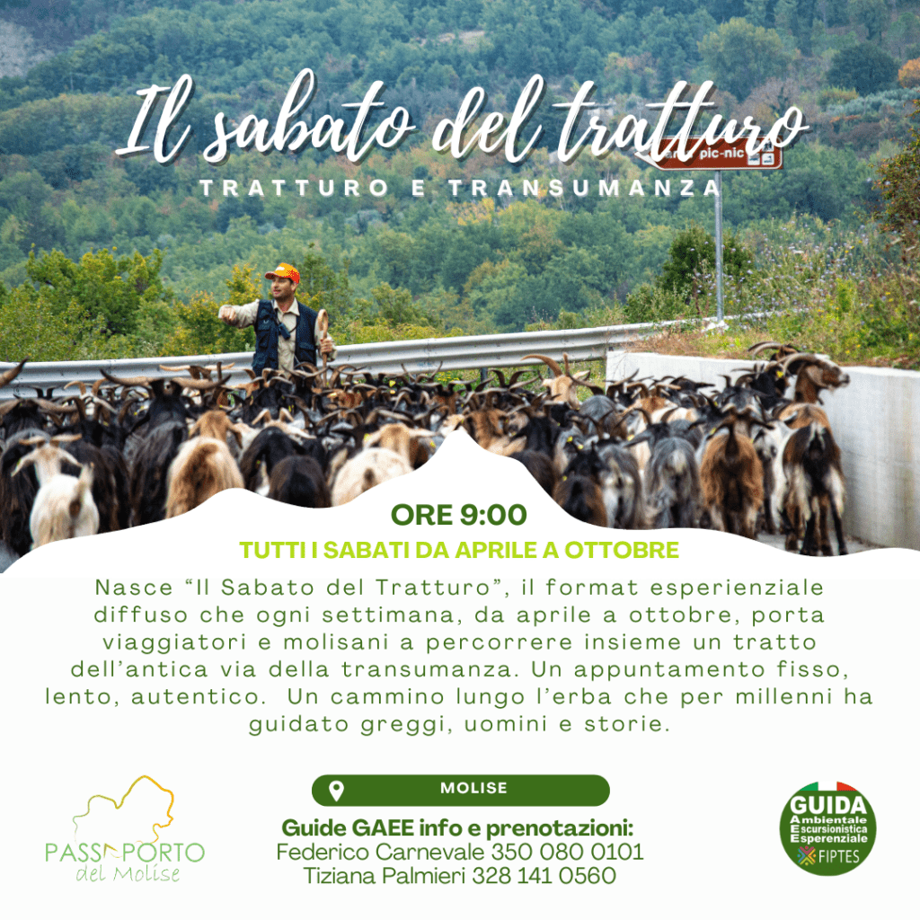 il sabato del tratturo