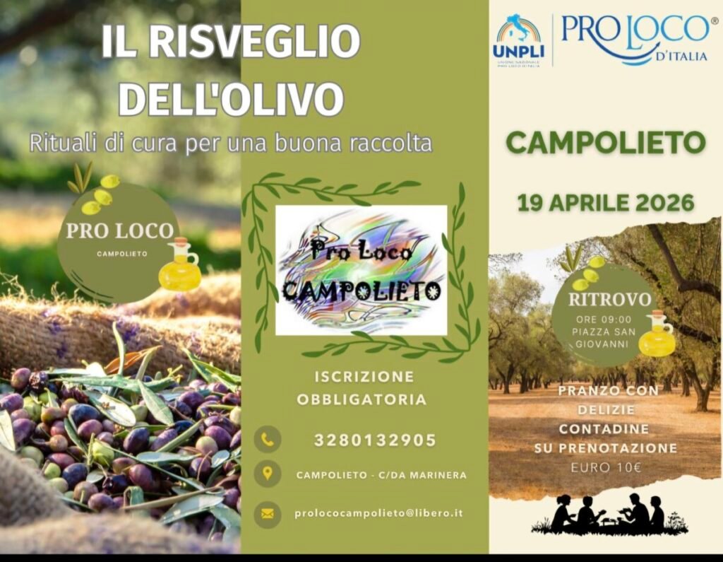 Il risveglio dell’olivo