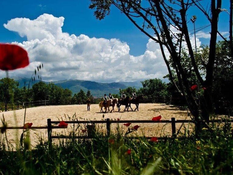 il ginepro isernia 2