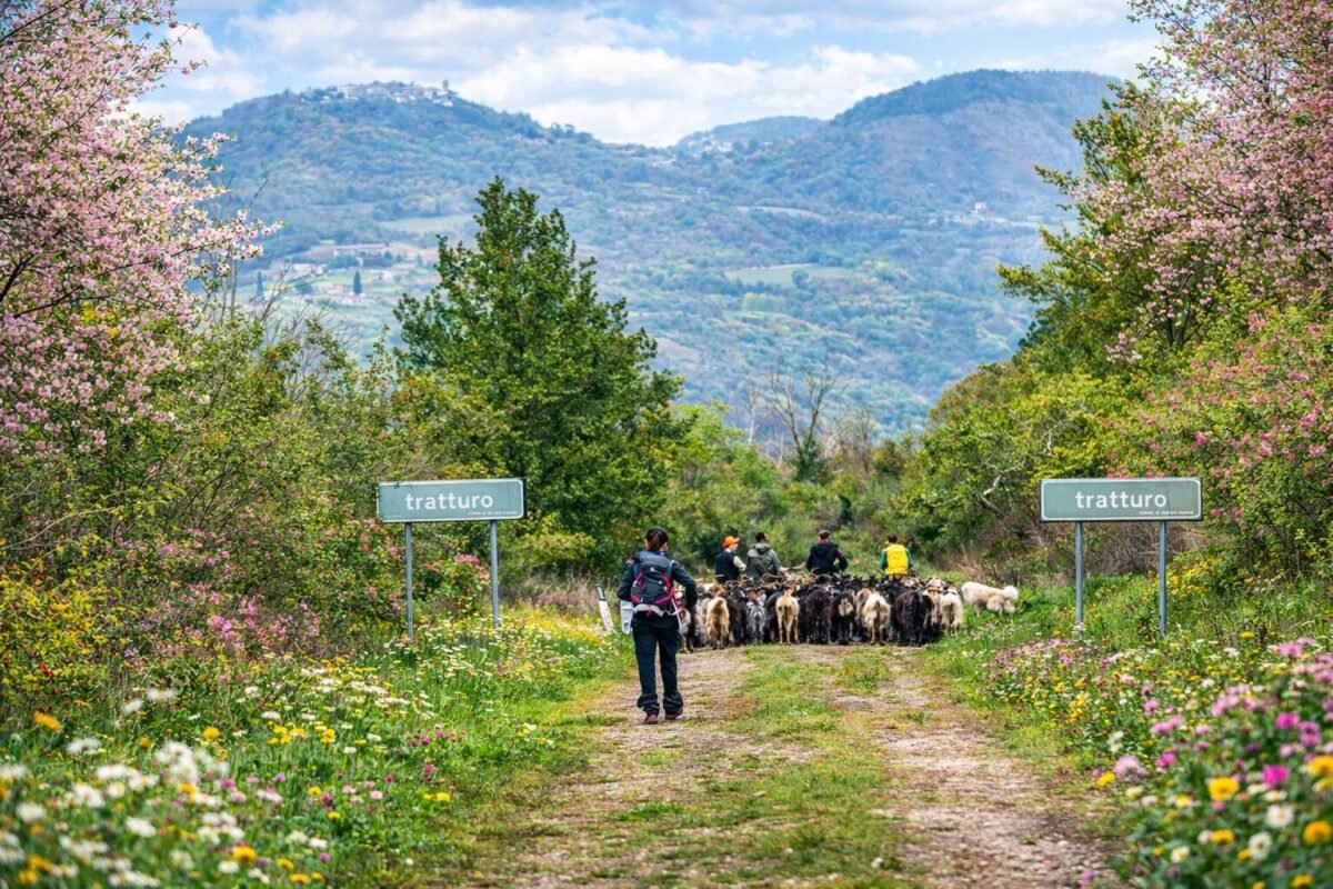 cosa vedere in molise