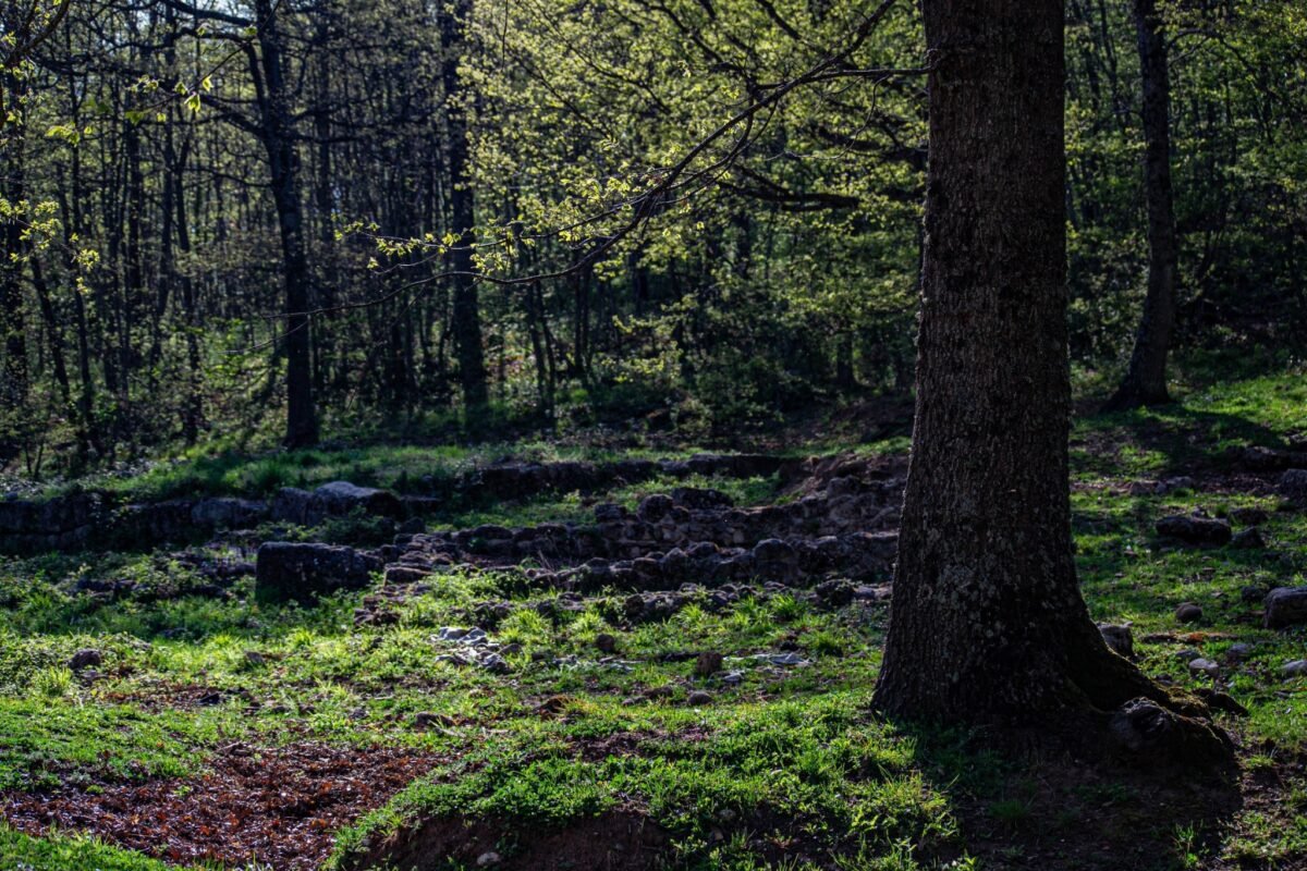 Resti archeologici di Monte Vairano tra gli alberi.